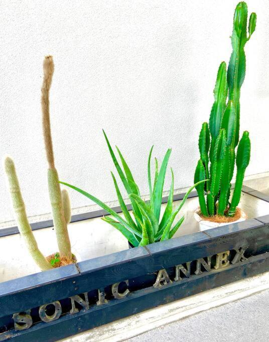 Apartment Sonic Annex202　sonic Hotelの離 ４名様まで同一価格